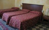 Туры в отель Hotel Erina Florence