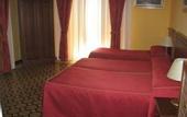 Туры в отель Hotel Erina Florence