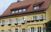 Туры в отель Hotel Seerose