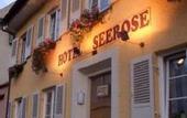 Туры в отель Hotel Seerose