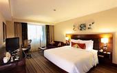 Туры в отель Hilton Garden Inn New Delhi / Saket