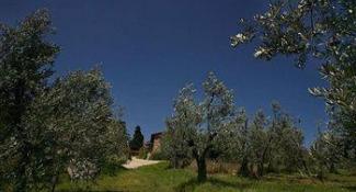 Relais Villa L'Olmo 4*