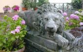 Туры в отель Villa Le Rondini