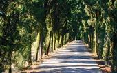 Туры в отель Villa Le Rondini