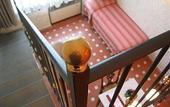 Туры в отель Villa Stanley