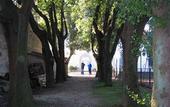 Туры в отель Villa Stanley