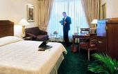Туры в отель Sheraton New Delhi