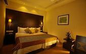Туры в отель The Residence Greater Kailash