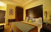 Туры в отель The Residence Greater Kailash