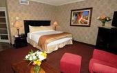 Туры в отель Ramada Fredericton