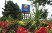 Туры в отель Comfort Inn South