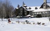 Туры в отель Fairmont Le Chateau Montebello