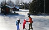 Туры в отель Fairmont Le Chateau Montebello