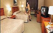 Туры в отель Days Inn Clifton Hill