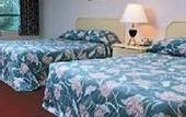 Туры в отель Days Inn Clifton Hill