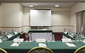 Туры в отель Bourbon San Paulo Business Hotel