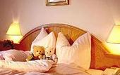 Туры в отель Moedlinger Sporthotel Soll