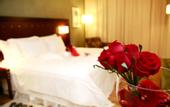 Туры в отель Radisson Curitiba
