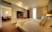 Туры в отель Radisson Curitiba