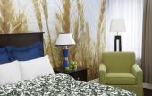 Туры в отель Hotel Indigo Ottawa
