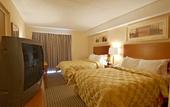 Туры в отель Comfort Inn Airport West