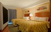 Туры в отель Comfort Inn Airport West