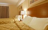 Туры в отель Comfort Inn Airport West
