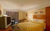 Туры в отель Comfort Inn Airport West