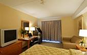 Туры в отель Comfort Inn Airport West