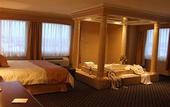 Туры в отель Monte Carlo Inn Vaughan Hotel