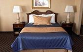Туры в отель Monte Carlo Inn Vaughan Hotel
