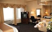 Туры в отель Monte Carlo Inn Vaughan Hotel