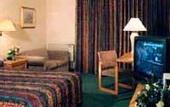 Туры в отель Quality Hotel & Suites Airport East