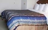 Туры в отель Quality Hotel & Suites Airport East