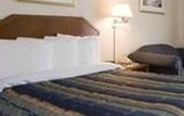 Туры в отель Quality Hotel & Suites Airport East