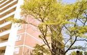 Туры в отель Town Inn Suites Toronto
