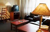 Туры в отель Town Inn Suites Toronto