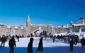 Туры в отель Courtyard Quebec City