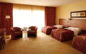 Туры в отель Sao Miguel Park Hotel