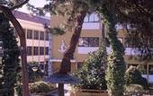 Туры в отель VIP Inn Miramonte Hotel