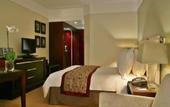 Туры в отель Tiara Park Atlantic Porto