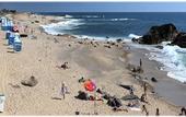 Туры в отель Casa Branca Beach & Golf Hotel