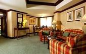 Туры в отель Grand Dorsett Subang Hotel