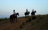 Туры в отель Montebelli Agriturismo & Country Hotel