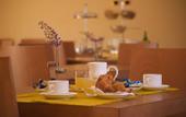Туры в отель City Hotel Casoria