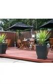 Туры в отель Birches Serviced Apartments