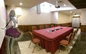 Туры в отель Meeting Ciampino