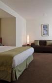 Туры в отель Holiday Inn Burswood