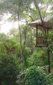 Туры в отель Thala Beach Lodge