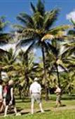Туры в отель Thala Beach Lodge